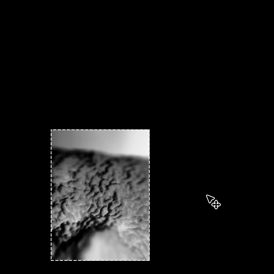 Supervision des mémoires de diplômes